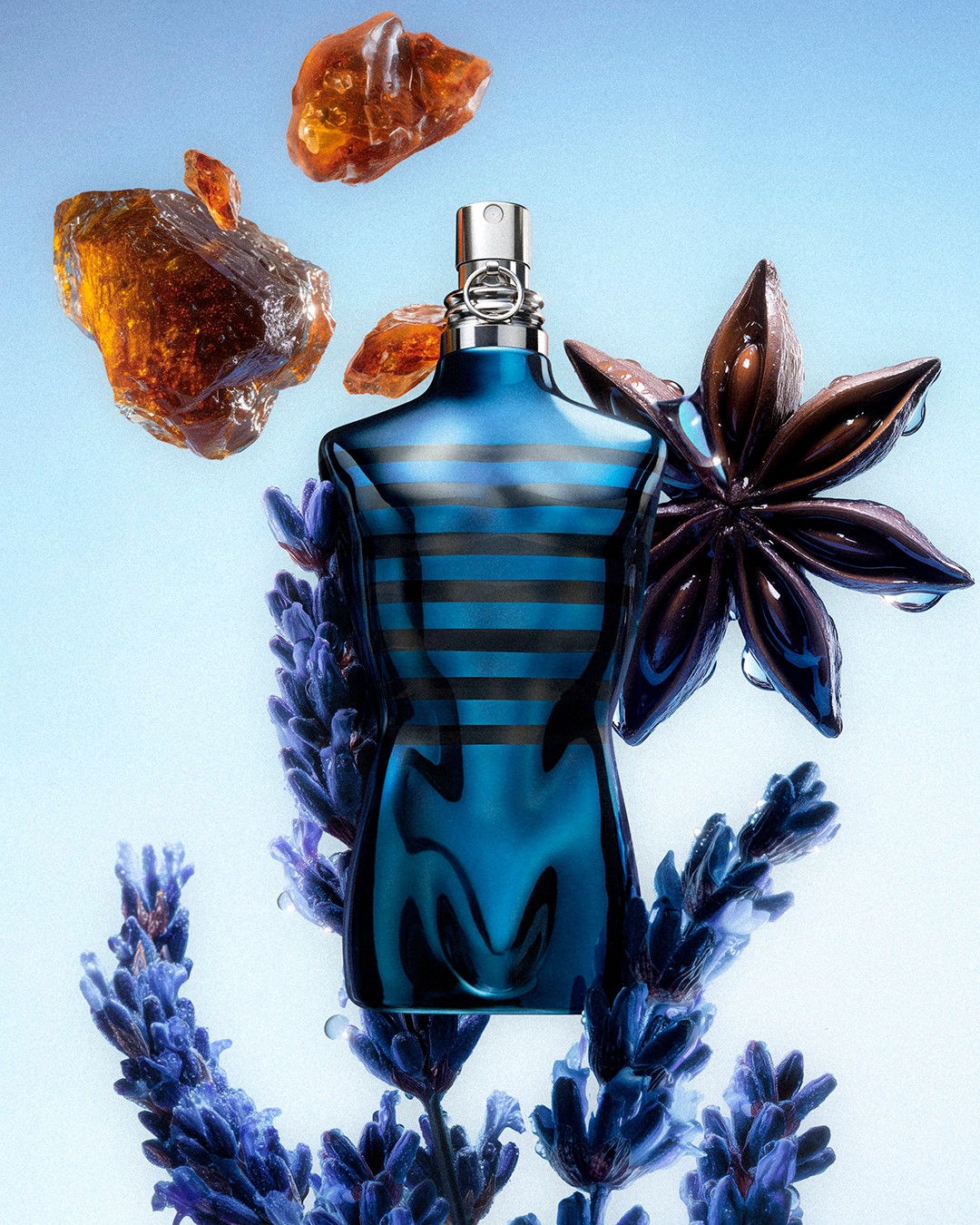 JPG_Ingrédients_Le_Mâle_In_Blue - 4X5.jpg